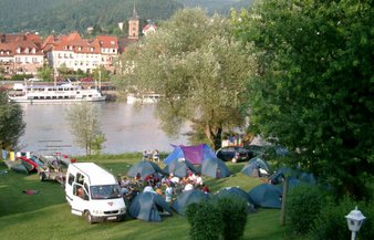 Unsere Plätze liegen alle auf einer gepflegten Neckarwiese unmittelbar am Ufer.